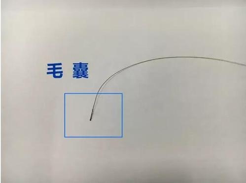 想做個人親子鑒定，頭發可以鑒定嗎？